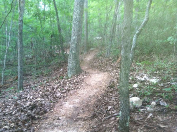 Massanutten's Newest Trail...beauty in the works!