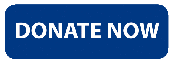 donate-now-button