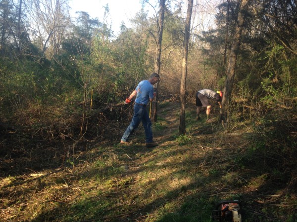 Hillandale Trail Work