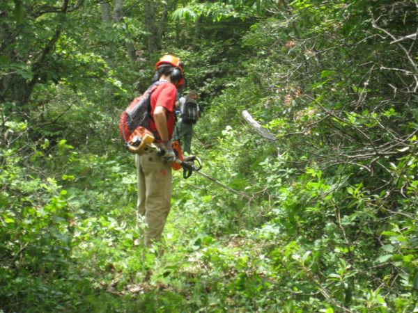 Brush that trail