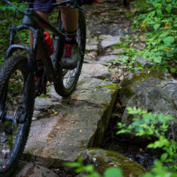 Massanutten Western Slope Trail Passes